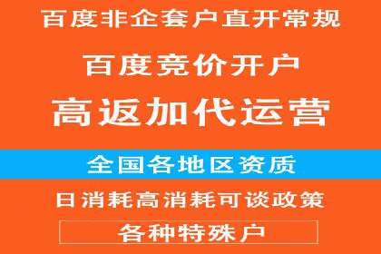 某电商平台SEM竞价广告的转化率提升案例